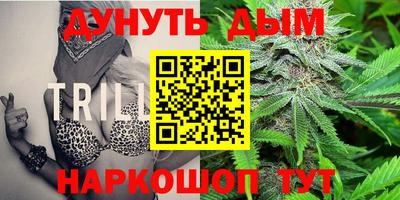 индика Кинель