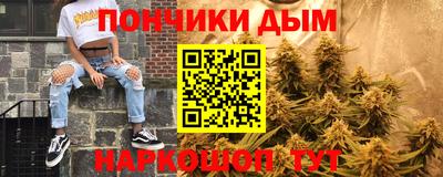 индика Кинель