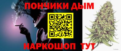 индика Кинель