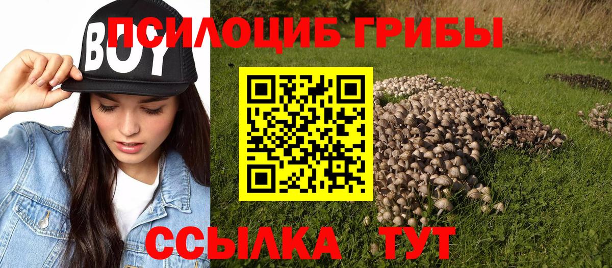 Воткинск  Псилоцибиновые грибы мухоморы  Галлюциногенные грибы мухоморы  Вход с VPN 